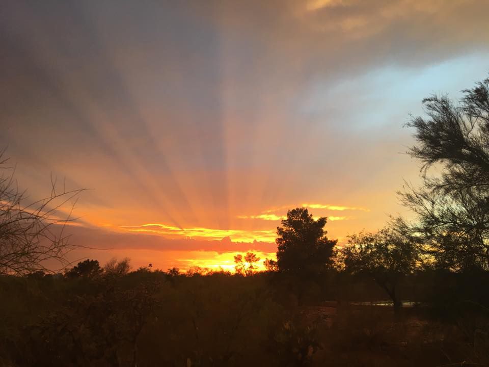 Reader sunsets